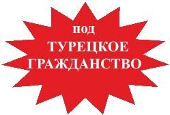 Под гражданство 1